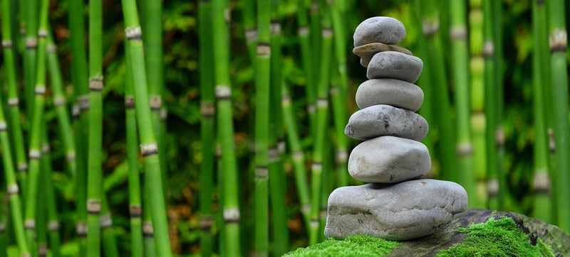 Zen Meditation Garden